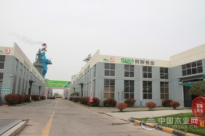 【匠心萬里行】山東俏家:高起點(diǎn)開局 高質(zhì)量發(fā)展