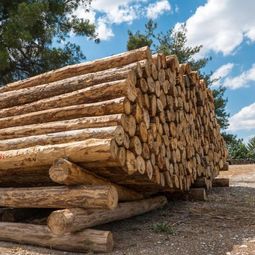 馳騁木業(yè)地板加盟優(yōu)勢 馳騁木業(yè)加盟優(yōu)勢有哪些
