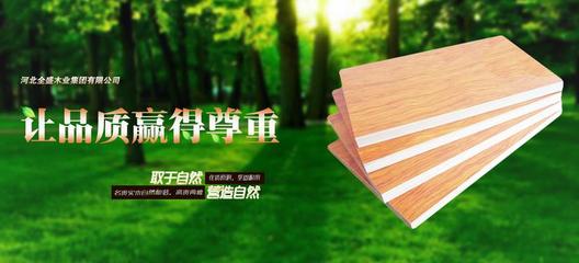 好消息!蘇木匠榮膺&ldquo;生態(tài)板十佳優(yōu)質(zhì)供應(yīng)商&rdquo;