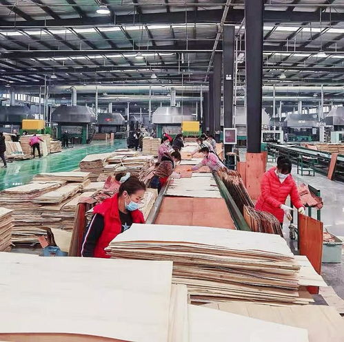 中國千洛木業(yè) 乘消費(fèi)升級(jí)東風(fēng),多品牌運(yùn)營能力出眾