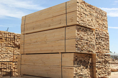 防輻射木方批發-防輻射木方-名和滬中木業(查看)