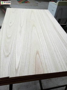 山東曹縣豐圣木業 優質木材產品與價格解析，中木商網助您輕松選購