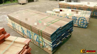 東莞三陽木業木材到貨通知